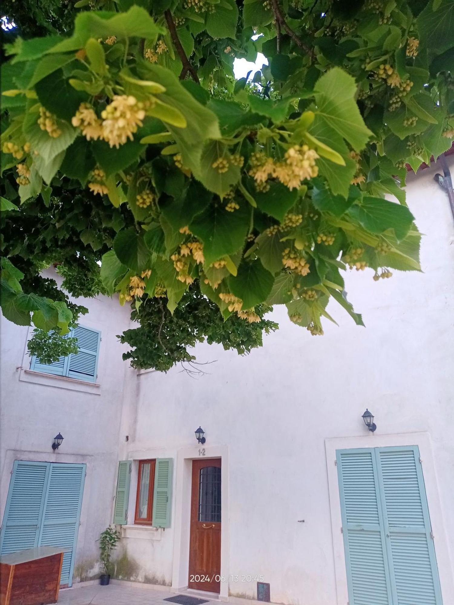 Agriturismo San Martino 폴리뇨 외부 사진