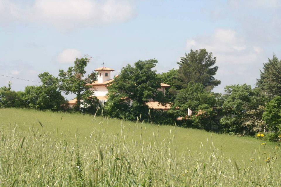 Agriturismo San Martino 폴리뇨 외부 사진