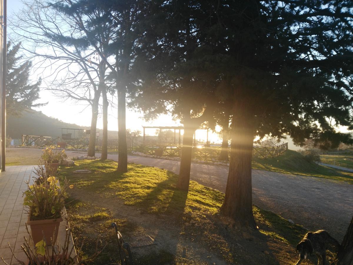 Agriturismo San Martino 폴리뇨 외부 사진