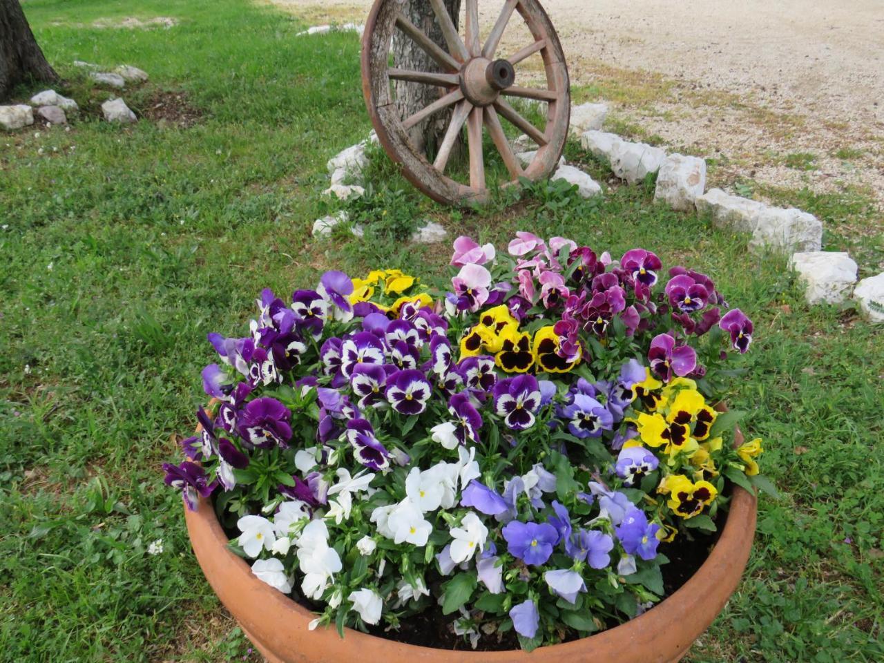 Agriturismo San Martino 폴리뇨 외부 사진