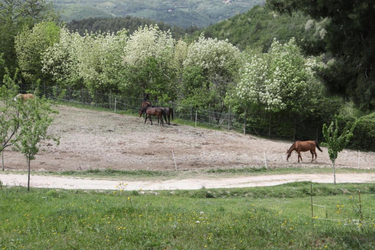 Agriturismo San Martino 폴리뇨 외부 사진