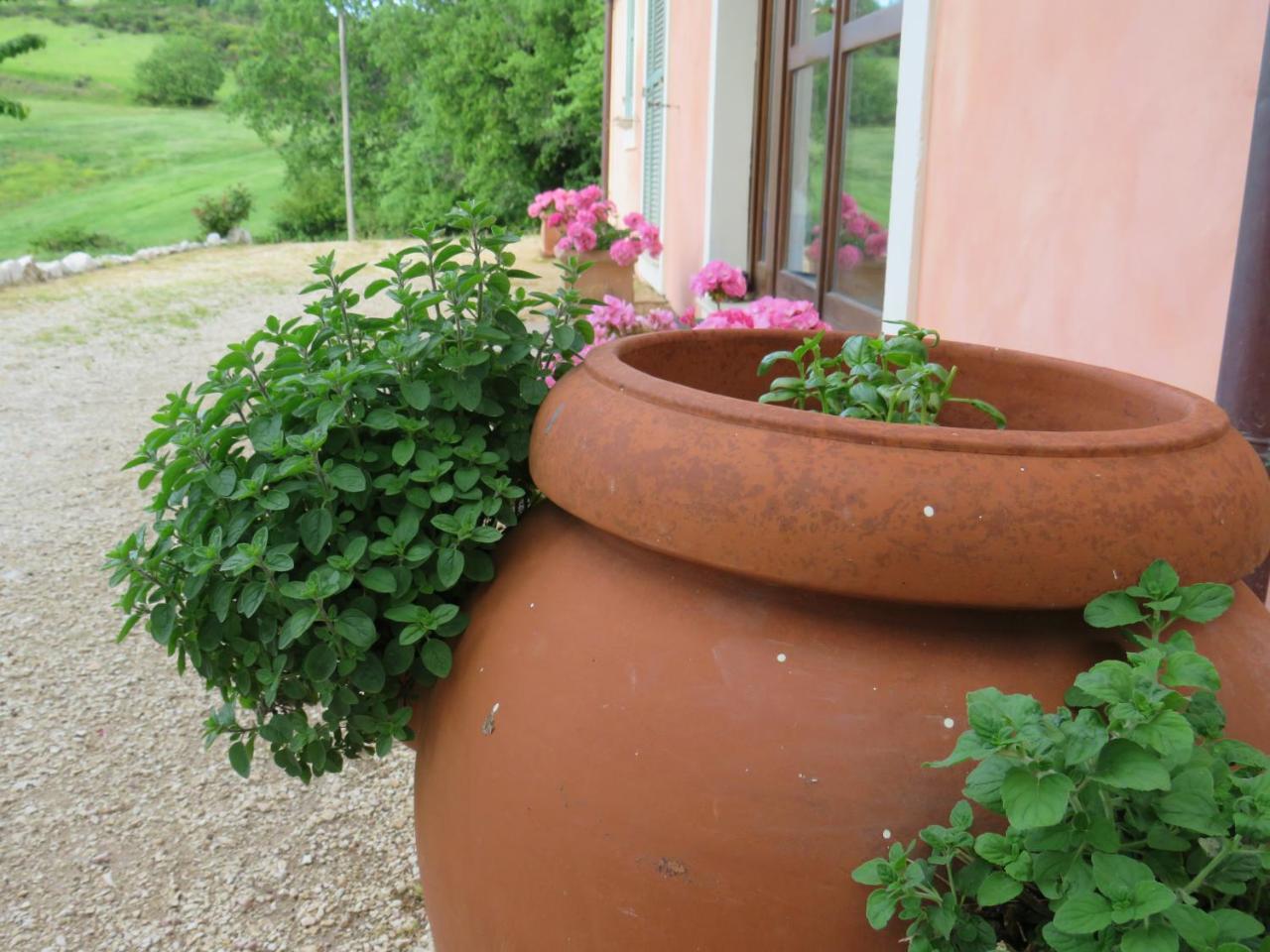 Agriturismo San Martino 폴리뇨 외부 사진